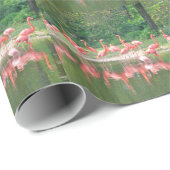 Flamingo Row bij het Leermeer, vogelroze wild Cadeaupapier (Rol Hoek)