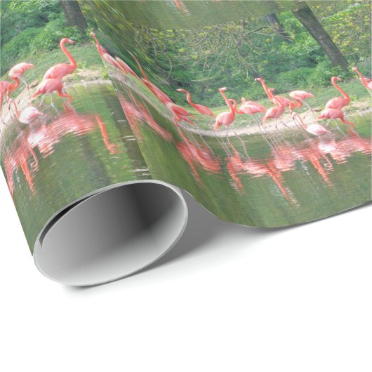 Flamingo Row bij het Leermeer, vogelroze wild Cadeaupapier (Rol Hoek)
