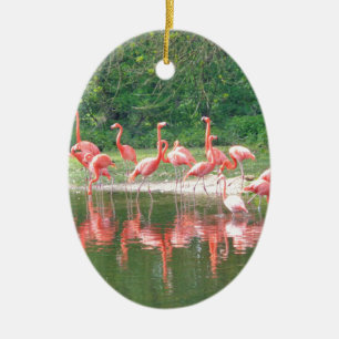Flamingo Row bij het Leermeer, vogelroze wild Keramisch Ornament