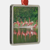 Flamingo Row bij het Leermeer, vogelroze wild Metalen Ornament (Rechts)