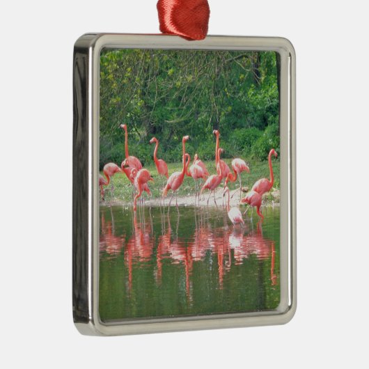 Flamingo Row bij het Leermeer, vogelroze wild Metalen Ornament (Rechts)