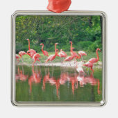 Flamingo Row bij het Leermeer, vogelroze wild Metalen Ornament (Voorkant)