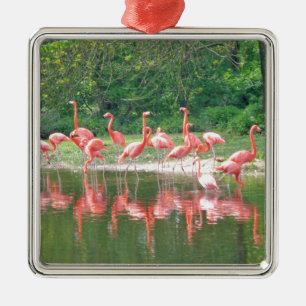 Flamingo Row bij het Leermeer, vogelroze wild Metalen Ornament