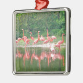 Flamingo Row bij het Leermeer, vogelroze wild Metalen Ornament (Links)