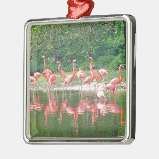 Flamingo Row bij het Leermeer, vogelroze wild Metalen Ornament (Links)
