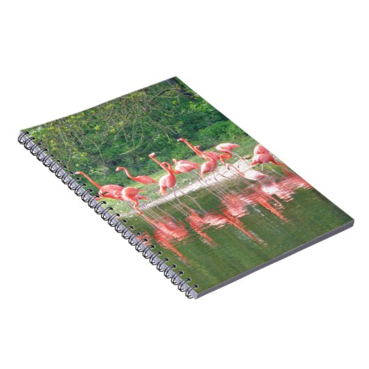 Flamingo Row bij het Leermeer, vogelroze wild Notitieboek (Rechterzijde)