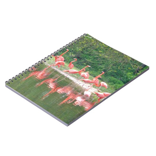 Flamingo Row bij het Leermeer, vogelroze wild Notitieboek (Linkerzijde)