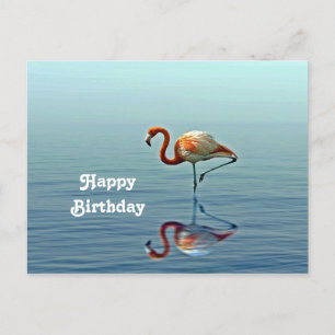 Flamingo Roze Reflectie Natuurfotografie Verjaarda Briefkaart