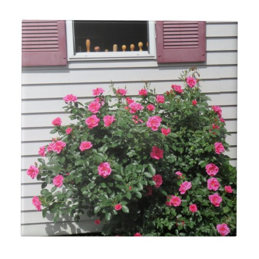 Flamingo-Rozen met Woodworking Scredrivers Tegeltje (Voorkant)