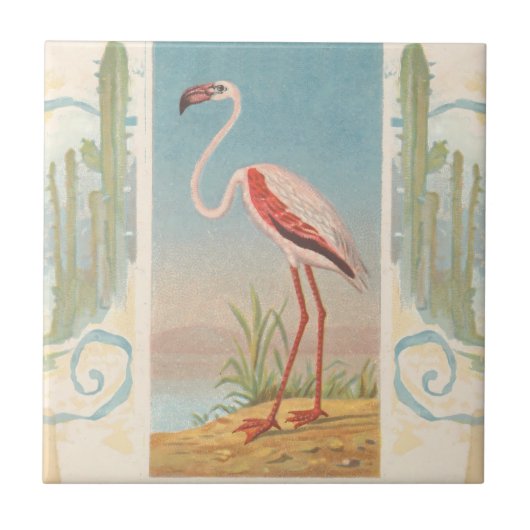 Flamingo Rug  Tropical Bird Tegeltje (Voorkant)