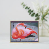 Flamingo San Diego Zoo Roze tropische Natuur Briefkaart (Staand voorkant)