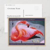 Flamingo San Diego Zoo Roze tropische Natuur Briefkaart (Voorkant / Achterkant)