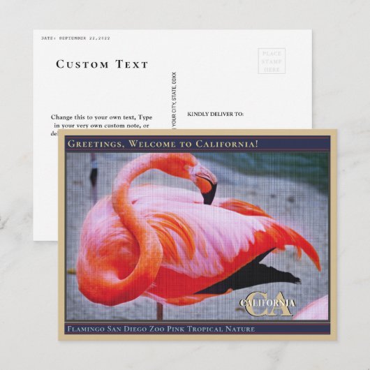 Flamingo San Diego Zoo Roze tropische Natuur Briefkaart (Voorkant / Achterkant)