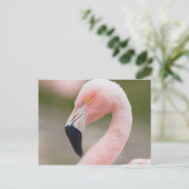 Flamingo Sluiten Briefkaart (Staand voorkant)