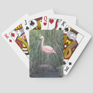 Flamingo Speelkaarten