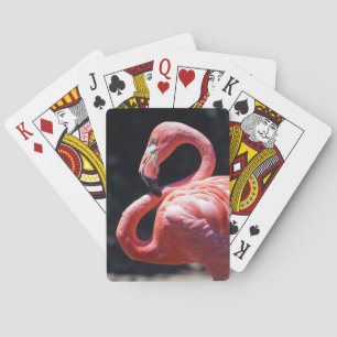 Flamingo-spelkaarten Pokerkaarten