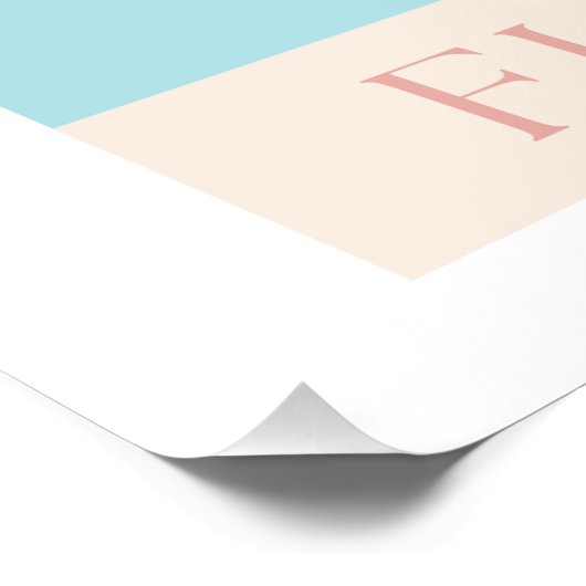 Flamingo Split Perfect Poster (Hoek)