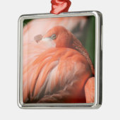 Flamingo Square Ornament (Links)