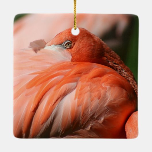 Flamingo Square Ornament (Achterkant)