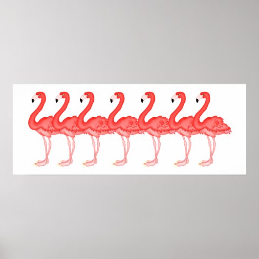 Flamingo - SRF Poster (Voorkant)