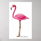 Flamingo - SRF Poster (Voorkant)