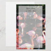 Flamingo Stationery Briefpapier (Voorkant / Achterkant)