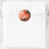 Flamingo Sticker (Tas)