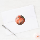 Flamingo Sticker (Envelop)