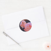 Flamingo Sticker (Envelop)