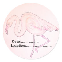 Flamingo sticker voor vogelaars
