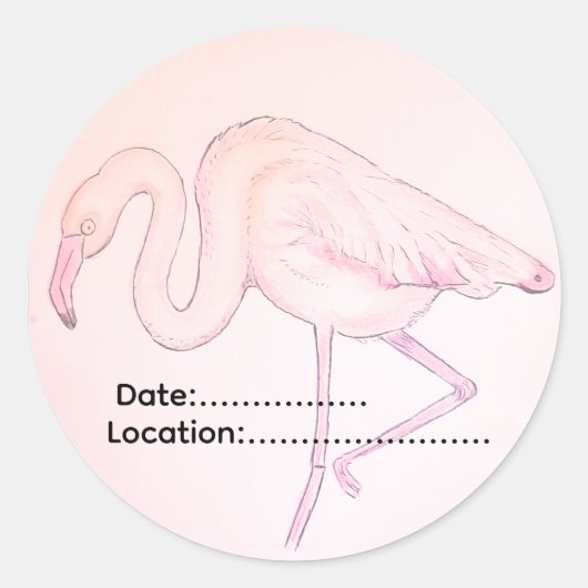 Flamingo sticker voor vogelaars (Voorkant)