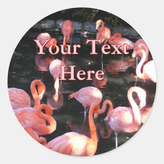 Flamingo Stickers (Voorkant)