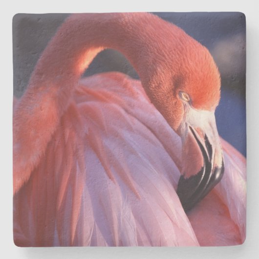 Flamingo Stone Onderzetter (Voorkant)