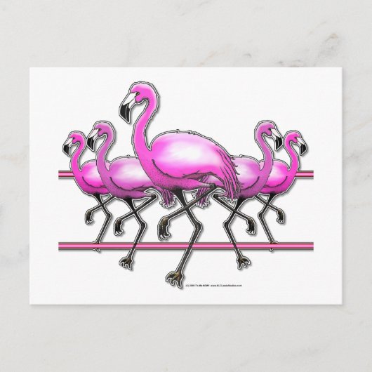 Flamingo Strip Briefkaart (Voorkant)