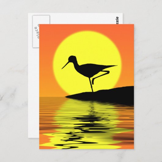 Flamingo Sunset Briefkaart (Voorkant / Achterkant)