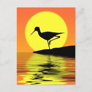 Flamingo Sunset Briefkaart