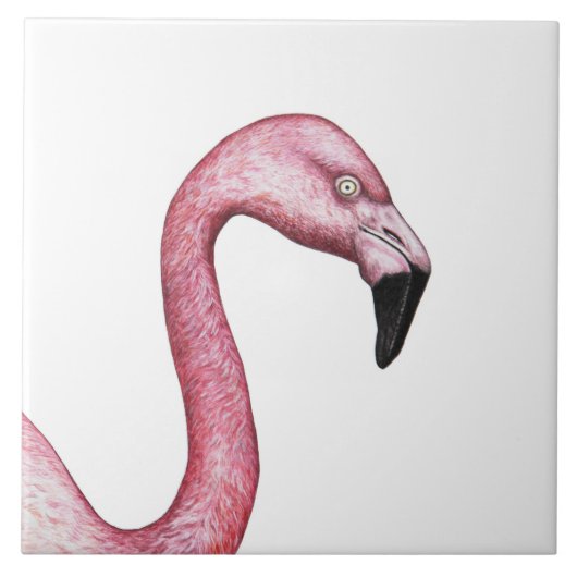 Flamingo Tegeltje (Voorkant)