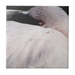 Flamingo Tegeltje