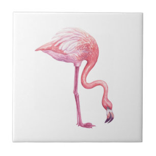 Flamingo Tegeltje
