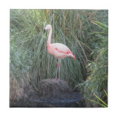 Flamingo Tegeltje (Voorkant)
