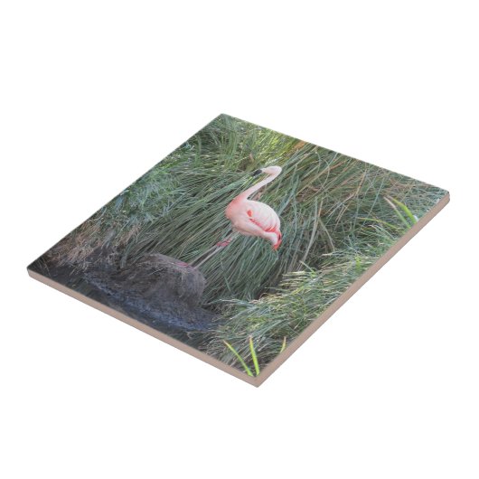 Flamingo Tegeltje (Zijkant)