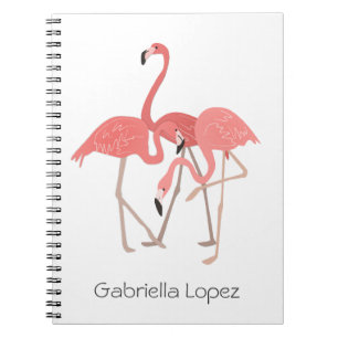 Flamingo Trio gepersonaliseerd Notitieboek