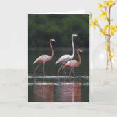 Flamingo Trio Kaart (Gele Bloem)