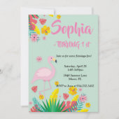 Flamingo Tropical Kaart (Voorkant)