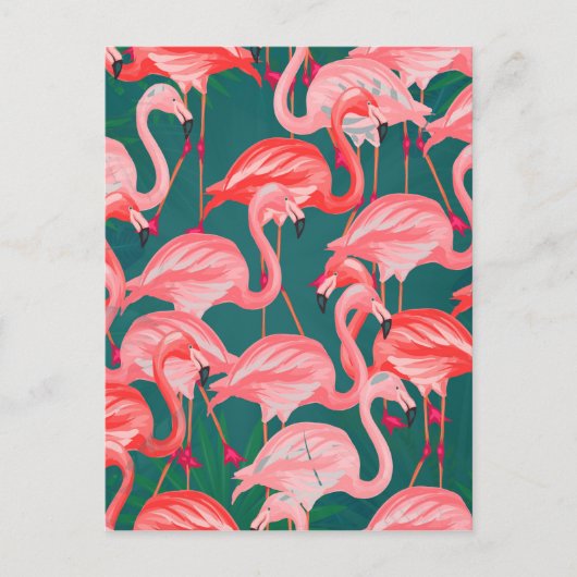 flamingo tropische zomer briefkaart (Voorkant)