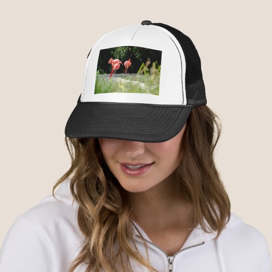 flamingo trucker pet (In situ)