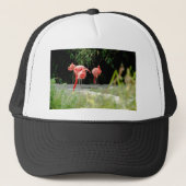 flamingo trucker pet (Voorkant)