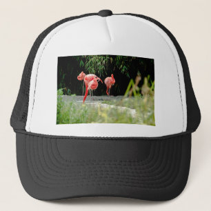 flamingo trucker pet