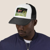 flamingo trucker pet (In situ)