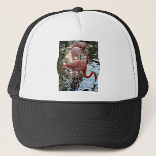 Flamingo Truckerhoed Trucker Pet